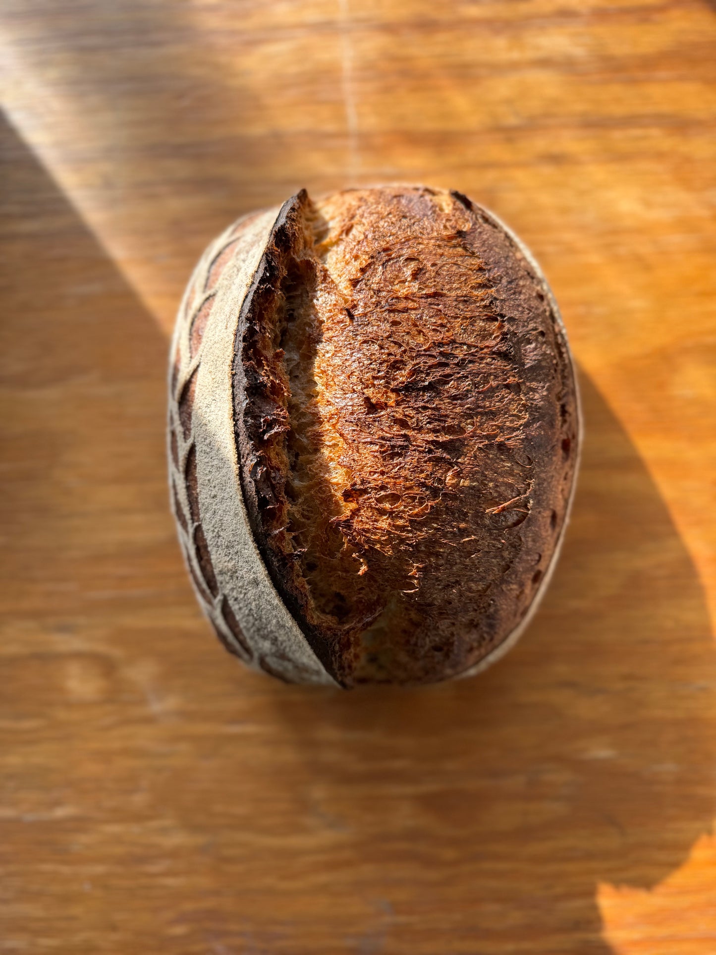 Everyday Sourdough