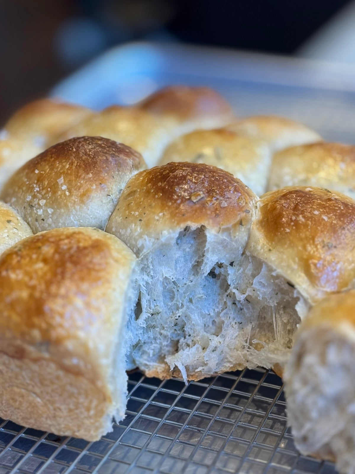 Herbes de Vermont Pull-Apart Dinner Rolls
