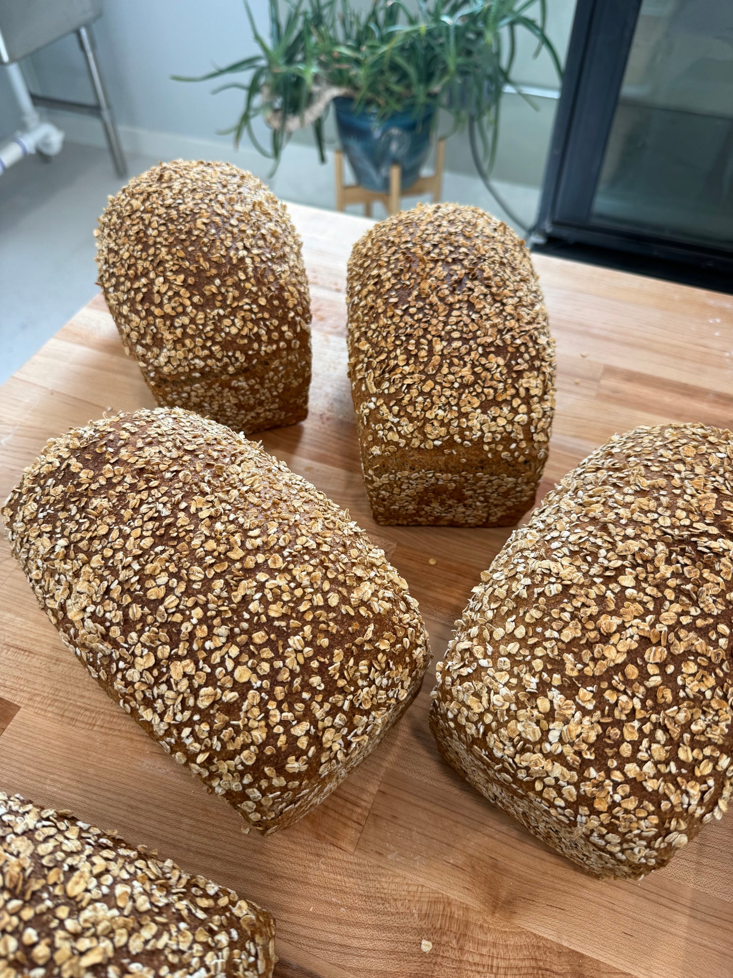 Spelt Porridge Sourdough