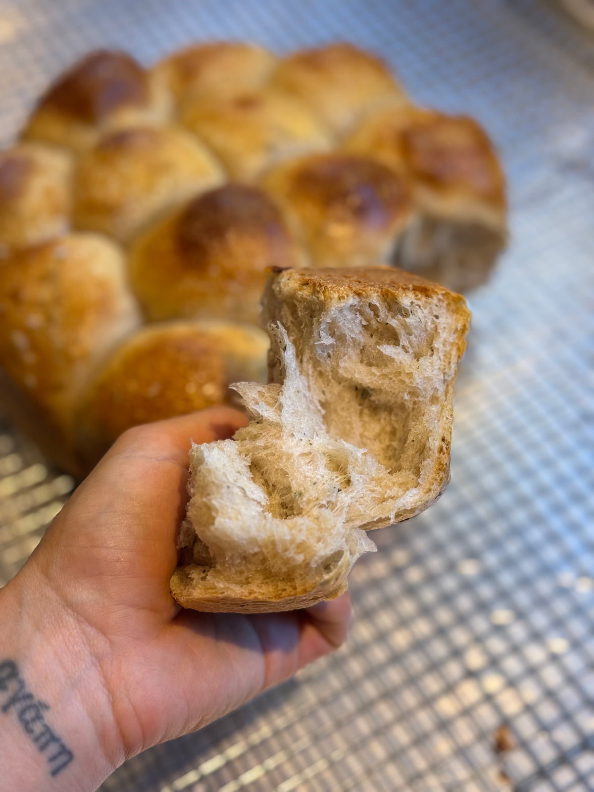 Herbes de Vermont Pull-Apart Dinner Rolls