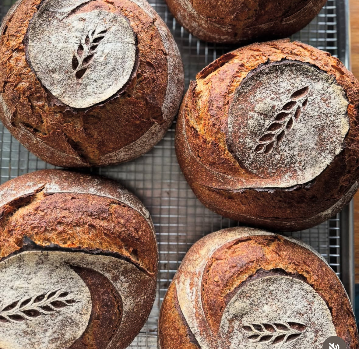 Einkorn, Rye & Roasted Barley Miche